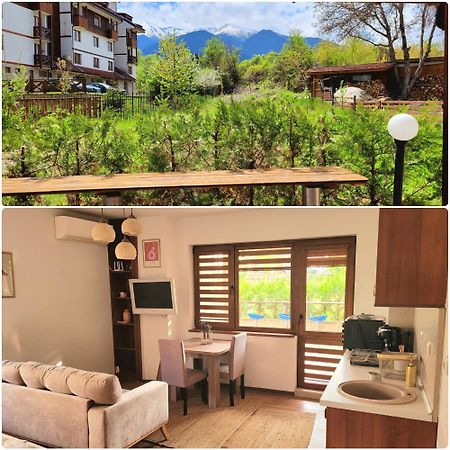 Cozy & Stylish Flat With Amazing View, 2Min Walk To Ski Road, 7-8 Min To Gondola บันสโก ภายนอก รูปภาพ